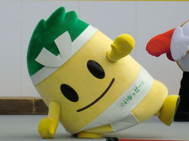 いなっぴー（稲沢市）<br /><br />元気いっぱい！「なんてフワフワなんだＪＡＰＡＮ」を披露予定！<br />これが踊れるゆるキャラ増殖中！<br />すごいバランス感覚！