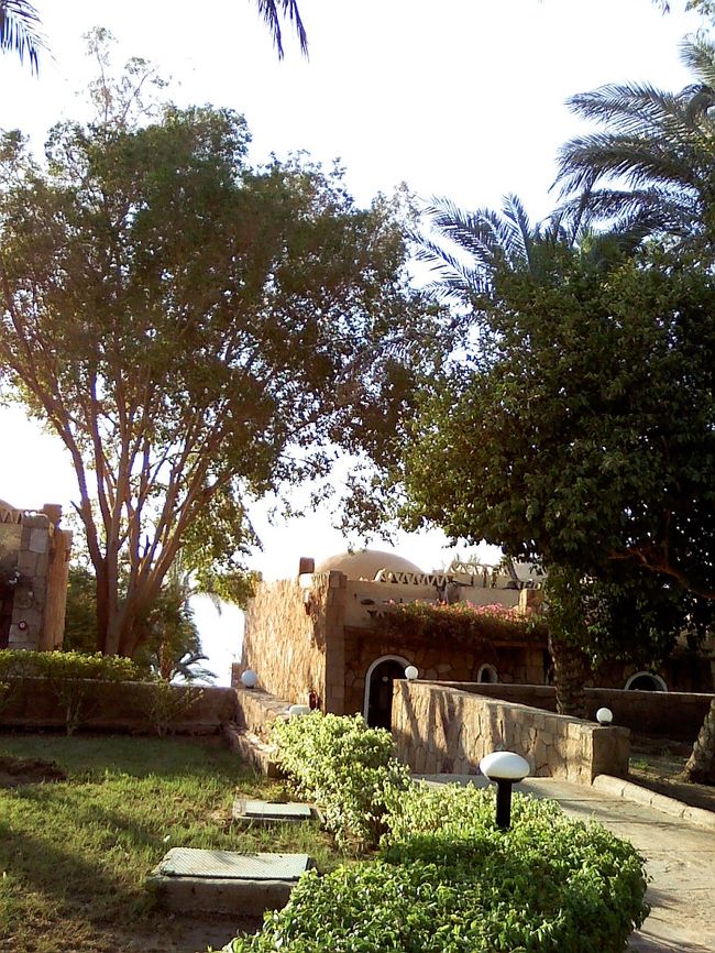 コテージタイプは雰囲気があってやっぱり良い♪<br />設備は古いけど、セティ気に入りました☆<br /><br />7:10、ホテル出発。<br /><br />8:15、アブシンベル空港から、再びアスワンへ。<br />･･･の予定だったけど、2時間遅れで離陸。<br />慌てず騒がず、「インシャアッラー（神様の思し召し、神のみぞ知る）」、<br />仕方ないさーで済ませる、イスラムの便利な言葉。<br />はじめはイライラしてたけど、大らかなお国柄にだんだん慣れてきました（笑）