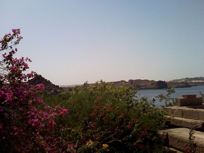 花々とナイル川が美しいです。