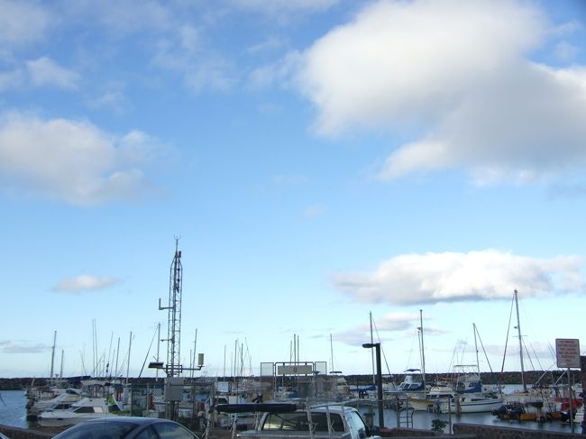 到着しました！<br />イルカ中学の船にはトイレがないので、ここでトイレに行っておきます。<br /><br />いざ船へ！！<br />酔いやすい人は後ろへと言われたので、後ろに乗ったつもりが前でした（T T）<br />出発前にウェットスーツをレンタルします。<br />全員借りていたと思います。10ドルです。<br />参加される方は借りた方がよいと思います！！<br />海からあがると寒いし、日焼け防止にもなります。