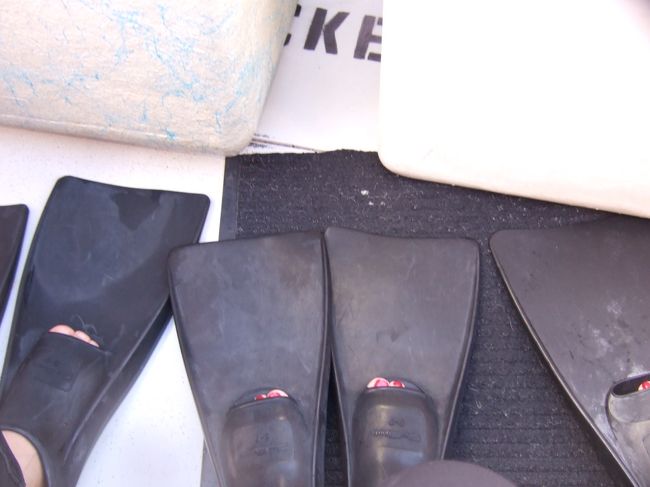 結構なスピードで出発！！<br />バナナボートみたいに片足をだして乗ります（笑）<br />前日結婚式があったコオリナ地区が見えるとこまで来ました。<br /><br />インストラクターさんが、あっちにイルカがいるよ〜って教えてくれます☆<br />思ったより沖の方ではなかったですが、かなりのイルカがいました。<br />この日は特に見れた日だとか…<br /><br />シュノーケルマスクとフィンをつけ、救命具？をつけていざ海へ！！<br /><br />…実はこのとき既にかなり船酔い…<br />海に入った方がマシになるかと思って入ったものの…<br />慣れないフィンとマスクでパニック！！<br />イルカ全く見れず（T T）