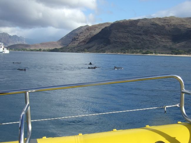 もう一度入るも、波の揺れで酔い…（救命具で浮くので揺れるT T）<br />残り2回（ウミガメとか見るんですが。。）は船の上でげっそりしてました（T T）<br />うぅぅぅ…こんなに船って酔うとは…車とかも酔いやすいんですが、酔い止めを飲めば何とかなっていたのに。。<br /><br />だけど、船の上からもわかるイルカの大群★<br />海の中で見る事ができて一緒に泳げたら最高だけど、船の上から見るだけでもとても癒されました♪