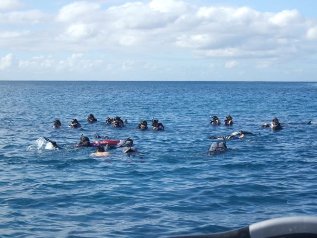 海の中で友達の写真とかイルカの写真とかたくさん撮るつもりだったのですが、とてもできる状況ではなくなってしまったので、船の上からできる限り写真を撮りました。<br /><br />友達は海の中でイルカとか魚とかたくさん撮ってきてくれました！！<br />ありがとう★★★<br /><br />ちなみに、イルカ中学は泳げない人はインストラクターさんがイルカがいるところへ連れて行ってくれます。<br />あと、浮き棒？があってそれで引っ張ってくれたりします。<br /><br />最後にエコバック貰いました♪<br />また、帰国後イルカ中学からメールが来ていて全員の集合写真とイルカの写真を送ってくれました。<br /><br />このツアー、オススメです★