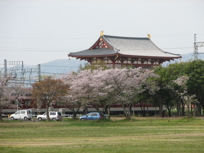 朱雀門をバックに桜が満開です。
