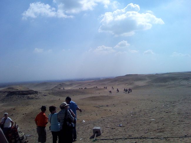 右奥、ラクダに乗ってお散歩してます。<br />羨ましい・・・(РД`q) 