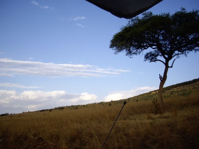 昼寝して、夕刻サファリ。<br />めんどくさい。<br />おなか痛いし。<br />夫に促され、無理やりワゴンに乗った<br />寝ていたいのに・・・<br /><br /><br />