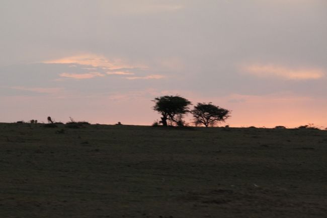 ザ・サバンナ<br /><br />夕日と動物達<br />360°の地平線