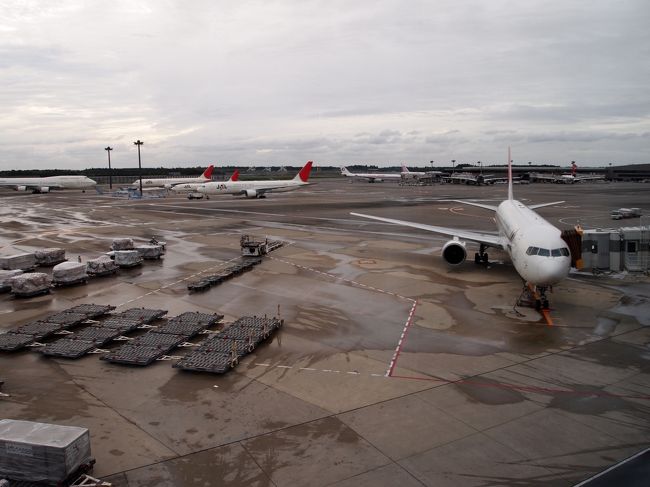 ＡＭ７：００成田着。<br />ＡＭ１０：００のＪＡＬ９５１便で出発。<br /><br />本当は羽田から行きたかったんですけど、成田からの方が若干安いので･･･。若干の安さに負けてしまいました。<br />