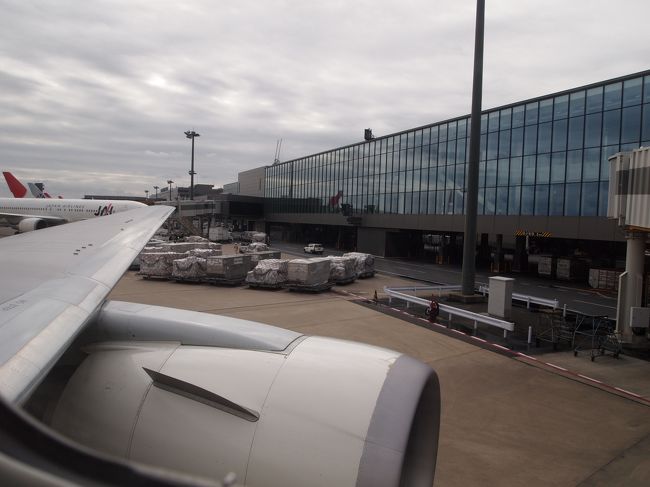 いよいよ出発。<br />搭乗するとすぐに爆睡モード。<br />目を覚ましてもまだ出発していなかった。<br />そして機内の中も寒い･･･。