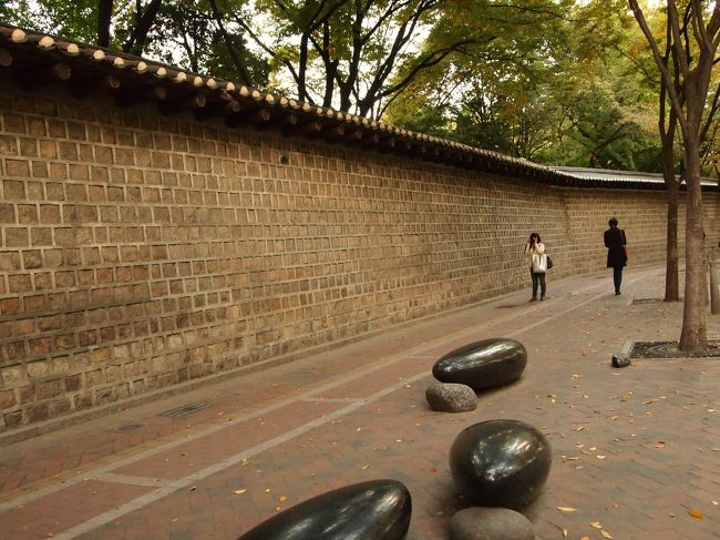 カメラを持つ若い子や･･･