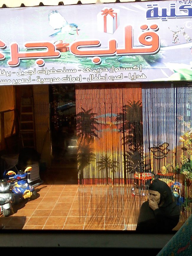 バスの車窓から、カーテン？