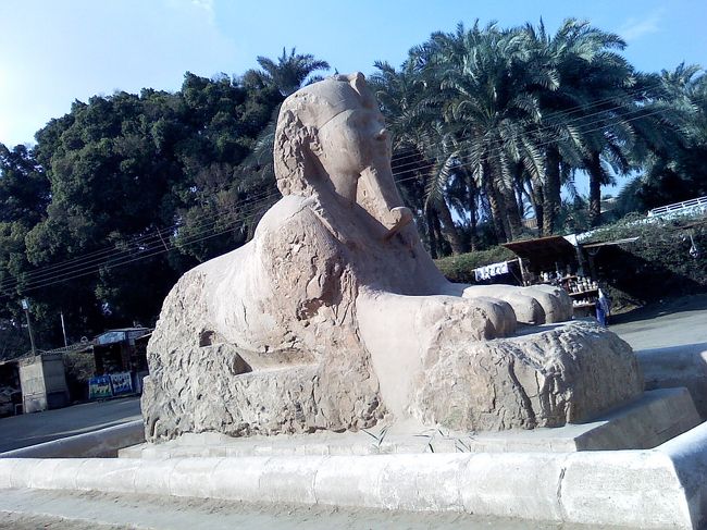 端正な顔立ちのスフィンクス。