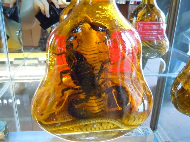 ハロン湾に行く途中で寄ったドライブスルー的なお土産屋さんにて。<br /><br />まむしとサソリの入ったお酒。<br /><br />どんだけ滋養強壮（笑）