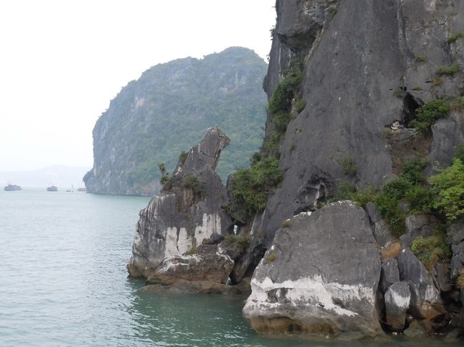 ハロン湾のハチ公（左向き）