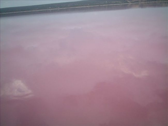北への旅の時、ピンクレイクという塩分濃度が高いため、ピンクに<br />なっている不思議な湖をみました。かわいい〜でも、なぜこんな色なの？？<br />
