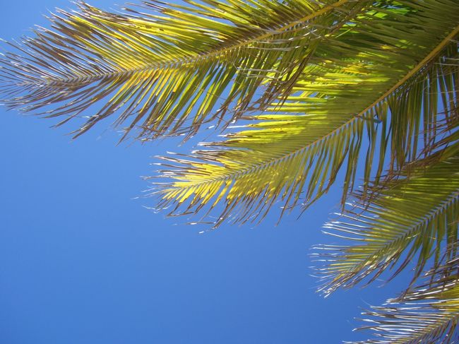 近くのビーチでゆっくりして、のんびりお昼寝zzz