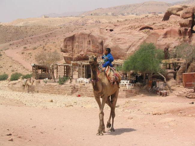 ペトラ遺跡にて。<br />小さい子でも難なく駱駝を操ります。