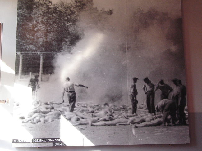 囚人の数が増大すると同時に、収容所地域も拡大していきました。そして、収容所は巨大な絶滅工場に変わっていきました。<br />オシフェンチムのアウシュビッツ1号は、新しい収容所建設の基本となりました。<br />1941年にはオシフェンチムから3キロ離れたブジェジンカ村で、第2の収容所の建設が始まりました。それはその後アウシュビッツ2号と名付けられました。そして1942年にはオシフェンチム付近、IGファルベン化学工場があったモノヴィツェ村に、アウシュビッツ3号が建設されました。そして1942年から1944年にはアウシュビッツ3号の管理下に約40カ所のミニ収容所が出現しました。殆どは囚人たちの労働力を利用した工場・鉄工所・炭鉱の近くに設立されました。