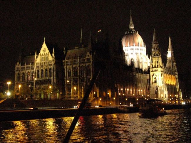 　国会議事堂<br />真中の黒くシルエットになった部分は、船尾に付いている旗です。<br />夜なので気付きませんでした。