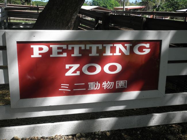 こんなのもありました。