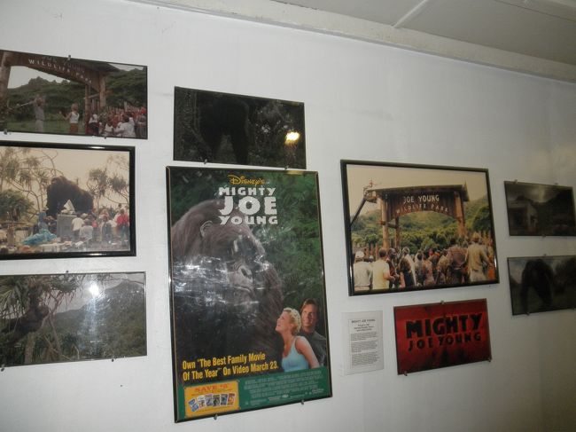 他にもクアロアを訪れた有名人の写真も展示されています。<br /><br />私はあまり映画を見ないのでほとんど分かりませんでしたが、映画好きの人には堪らないかも！？