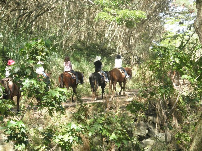 こんな感じで一列で進んで行きます。<br /><br />乗馬って初めてだけど、なんだか楽しい♪<br /><br /><br />一応、仲間同士前後にしてくれますが、友達の馬が先に進んでってしまった為、私たちは離れてしまいました（笑）<br />私の方が後ろだったので、友達の後ろ姿をパチり。<br /><br />係の方がいろいろココに何があるよ〜とか説明してくれます。