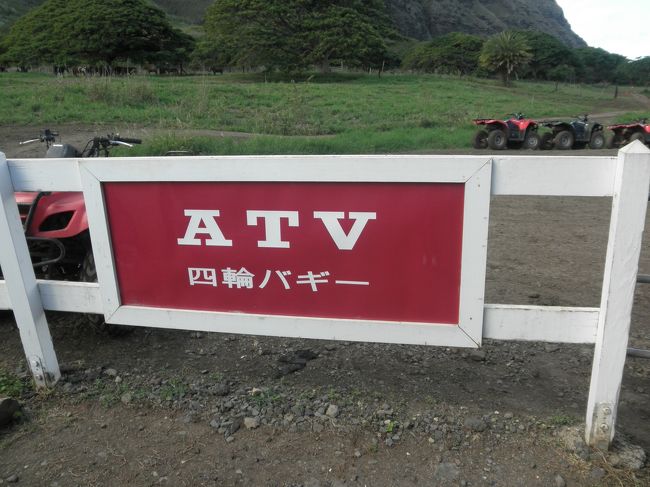 最後は四輪バギー。<br />こちらも初めにビデオを見ます。<br /><br />さすが自己責任の国…<br />訴訟の事とかいろいろ説明を受けました。<br /><br />まずはテスト走行…。<br />四輪バギー、私にはすごく難しかった；<br />とにかくハンドルが重い！<br />力がないのでほんと大変でした。。