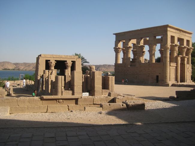 周りをウロウロ。