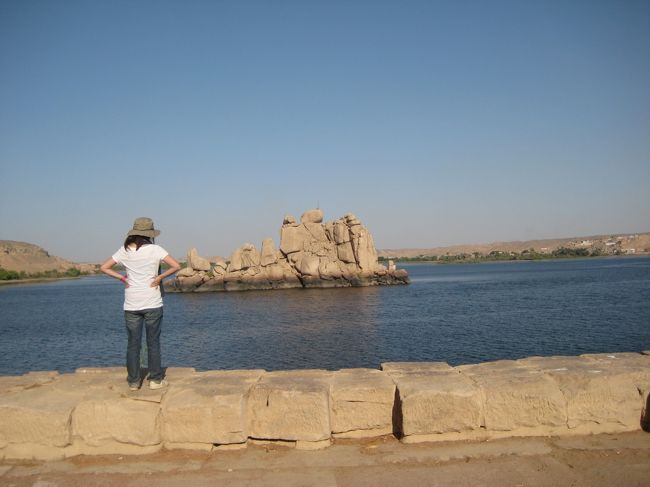 飛び込みたい。