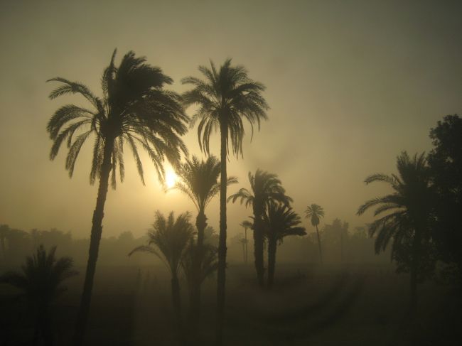 朝が来ました。。。<br /><br />はて、ここは。。。？！