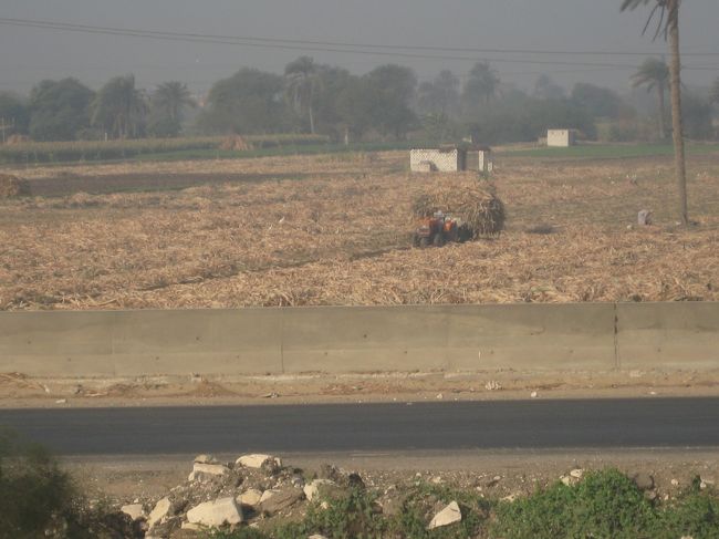 列車の旅<br />ギザに到着予定は7〜9時くらいとあいまい。<br /><br />私は窓の外を見ているだけだが、<br />添乗員さんやガイドさんは大変だろうね。