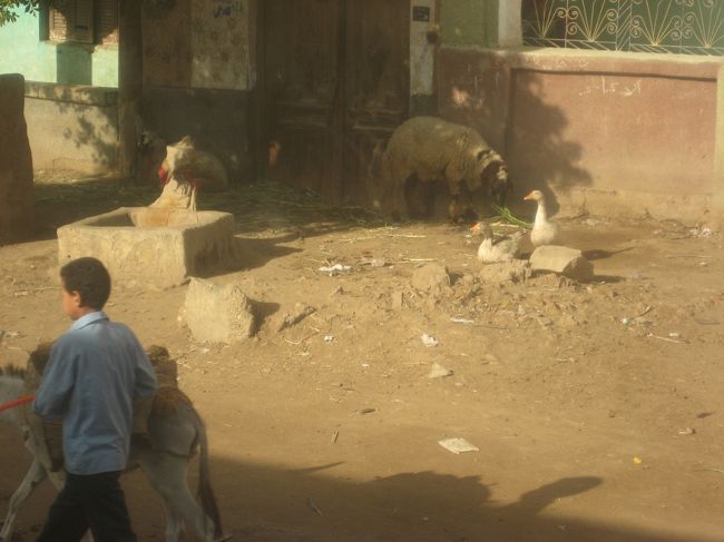 いろんな風景。