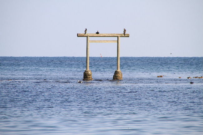 島の隣には海中に鳥居も立ってました。