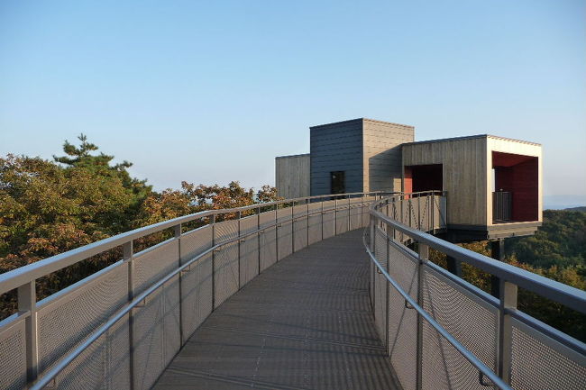 ここって実はすごかった！<br />エレベーターも付いてるし、こうやってスロープづたいに上れます。