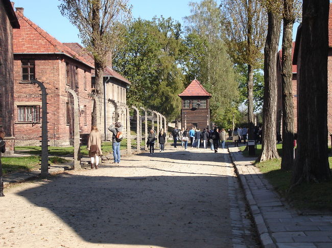 中央広場<br /><br />One of the many torments of life in the concentration camp was the daily roll-call. The entire prison population of thousands of prisoners had to stand to attention during the roll-calls held on the central square at this location. Later, when new buildings were constructed over of the original roll-call area, the prisoners were lined up on the camp streets in front of the blocks. The roll-calls often lasted several hours, and sometimes even a dozen hours os longer.<br /><br />囚人たちの生活の中で苦痛であったものの一つが点呼です。千人近くの点呼が完了するまで何時間も立たされたとか。点呼の時にはSSが囚人の数を確認していました。同時に移動絞首台または集団絞首台が置かれ、見せしめのための死刑執行も行われていました。集団絞首台は1943年7月19日、3人の脱走者を助け、収容所周辺の一般市民とコンタクトをしていた疑いで12人のポーランド人が吊るされました。