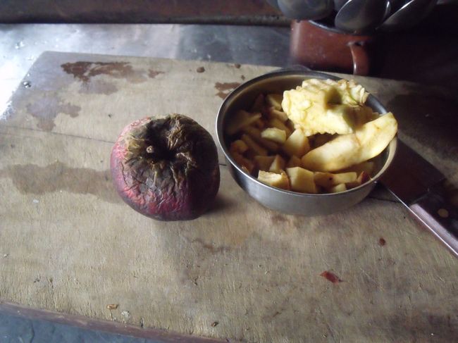 １１：４０今日はここまでと言う。まだまだ早いので３時まで歩くと言うと、<br />素直に承諾してくれる。昼食にフライドライスに、焼さんま大根おろし入りの缶詰を開ける。<br />デザートにアップルパイがあったので注文する。デ、デカイ皿いっぱいにのさばっている。クリシュナに半分あげる。<br /><br />台所で暖を採ろうと入ると、そこには腐ったリンゴと、リンゴの芯が置いてあった。まさかこんなリンゴでパイを作ったのかと聞くとそうだとの返事。まぁーものすごくうまかったので、見なかったことにする。<br /><br />１２：３０発<br />１３：４０一服　寒くなってきたので、ジャンパーを着る。<br />ベルギーの高度計は２９３０Mを示している。Tシャツをかまどの前にて乾かす。チャイを注文すると、手動ブワローで火をおこす。どうもスカイライン上を歩いているようだ。曇っていてあまりよく解らないが、木が低くなってきている。あと２時間<br /><br />１５：２０宿に着くすぐ前で、切り株にキノコが生えていたので採ってくる。<br />雨が降っていたので写真にはとらなかったが、相当立派に生えていた。<br />夕飯まで大分時間があるので、ズボンをかまどで干す。猫がすり寄ってくる。