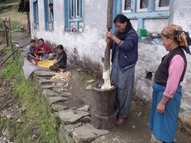 持参の味噌汁の素にお湯を入れたらミルクティだった。幸い少しだったので味噌汁の味が強かったがまずまずであった。半分食べた頃になってキノコの味噌汁が出てきた。スペシャルだそうだ。食事の前に茶を飲み、持参の味噌汁を飲み、ツァンパ汁とキノコ汁でおなかがチャプチャプになってしまった。隣の外人さんはスープと白飯だけなにで食欲がわかないようで、ほとんど残していた。<br /><br />今日も１日雨だった。それも降り続けだった。クリシュナが寒そうにしているので、３枚しか持ってきてない長袖のTシャツを１枚あげた。オイルマッサージを足にしてくれた。コロンを振り掛けてくれた。