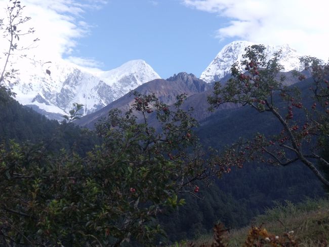 ２０１０年１０月１８日（月）<br />朝コンデの山がちらりと見えた。天気が良いとこんな風景がいつでも見れるのかと腹が立つ。ここがGOYAM３２２０Mとメニューの表紙に書いてあったので解った。清算を頼むと１４６０RPおかしいそんなにするはずがない。いったん支払ったが、引き返して確認すると、部屋代が６００RPとなっている。メニューには２００RPと書いてあったので、クリシュナとママさんから２００RPずつ返してもらう。クリシュナ減点対象<br /><br />８：１５出発<br />１０：００道の脇にはブルーの小さな花が、日差しをいっぱい受けて咲いている。<br />ネパールリンドウの他は見あたらない。すごい棘のある木に赤く実っているのは、メギの実ここまでは平たんな道　急坂を下りまた平坦な道<br /><br />１３：０５JINBESI雨や霧の多い地域に違いない。モモとお茶の昼食　まっすぐな松の木<br />１５：０５一服　青空が見えてきた。♪見ろよ青い空　そのうち何とか着くだろう<br />１６：０５エベレストビューホテルなぜか通過<br />１６：５０あと一時間がんばれ　ソイジョイとジャガイモを食す<br />１８：４５RINGMU２７２０M　もう真っ暗ジャガイモのおかげであまり腹は減っていない。リンゴパイとチャイで済ます。クリシュナ本日２回目の減点