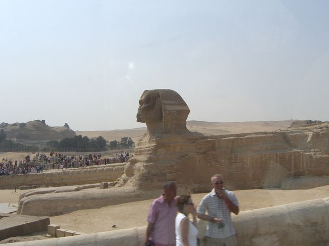 どしっっと座っています♪