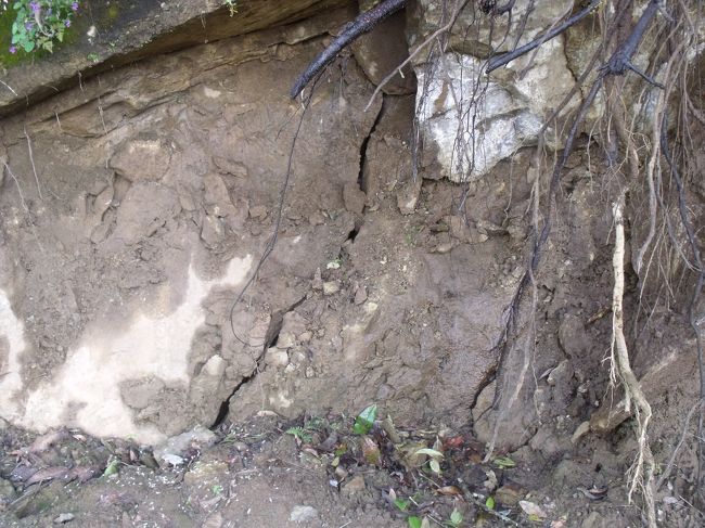 ネパールでの電話代の支払い方法はどのようになっているのだろう。あらかじめ代金前納で、時間が来たら切れるのだろうか？もうかれこれ１週間たつので、妻に連絡しなければ。<br />毎日連絡せよと携帯を持たされたのだから。ホテルの電話を借りて、ASAHIトレックに電話を入れて、無事のメールを打ってもらおうとするが、ルクラで電話できるからとやんわり断られた。電話代１００RPはむなしかった。<br /><br />キムチのおかげで昼食のエッグポテトはおいしかった。桜の花が咲いている。蝶チョも飛んでいる。大島みたいに地味なのと、白い紋のと、青く小さいのと、まだら模様の４種類だけ だった。牛で田起ししている。ベルギーは６５歳と判明　あんなに大きな荷物を持って<br />　<br />