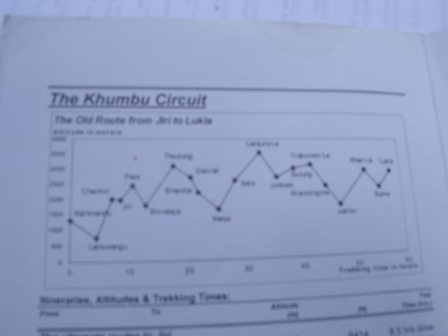 １５：１５ここまで１日中下り坂　あと１時間だけ登りと聞き、長い休憩をとる。<br />１６：００発クリシュナにあとどれだけ？と聞くが、トウェンティメニッツとしか言わない。<br />何べん目だ。白山の室道から頂上まで程ぐらいのとこでも、トウェンティメニッツ。お前の足ではそうだろうけど、俺の足で聞いてんの。やはり４０分かかった。<br /><br />１８：００　峠着　昨日は時間がかかったので仕方がなかったが、今日のは休憩が長かった。減点１、昨日の分は取り消す。ダルバートとシェルパシチュウを頼むと、山のようにご飯とおかずが出てきた。おなかが一杯になった頃になって、シチューが出てきた。明日の朝に出しておくれと頼んだ。<br /><br />