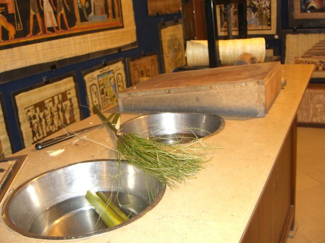 パピルス店へ<br /><br />ここでは工程を見せてくれました。<br /><br />葦の繊維を縦横に編んで乾燥させた世界最古の紙の原型。<br />パピルスにもニセモノがあるようで、透かして見た時に縦横に編まれているか、いないか？　又、本物は少々曲げても折り目が付かないけれど、ニセモノはパリパリと折れてしまうそうです。