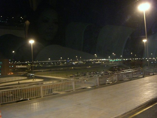 食事の後、巨大ショッピングモールに立ち寄り、カイロ国際空港へ。<br /><br />カイロ国際空港　MS-0962　10月9日 23:01発<br /><br />　↓　ﾌﾗｲﾄ　11時間30分<br /><br />関西国際空港　10月10日 17:30着