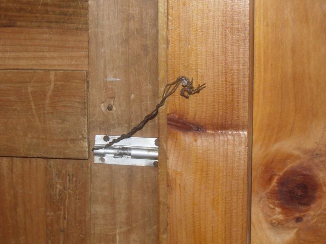 メールを送ろうと、インターネット屋に行くが、メールの画面が出てこない。画面さえ出してもらえれば、いくらPCに疎い私でもローマ字で打てる。店の人にやってもらっても、やはりダメだ。どうなっているのだろう。<br /><br />もう何回目のネパールだと言う老夫婦とお話しする。やはり３日間待ちぼうけを食らったと言う。もう１０年くらい毎年来ているが、今年ほど雨が多い年はないのでは、いやになるほど乾燥して、土ほこりがすごいはずなんだそうです。<br /><br />９人グループの方々と食事をする。男３人に女性６人のグループで気さくな方々。何のこだわりもなく仲間に入れてくれる。<br />部屋の内カギは、針金をひっかけるだけの簡単なもの。<br />トイレに行く時にも鍵をかけろとうるさく言うクリシュナもあきれている。<br /><br /><br />