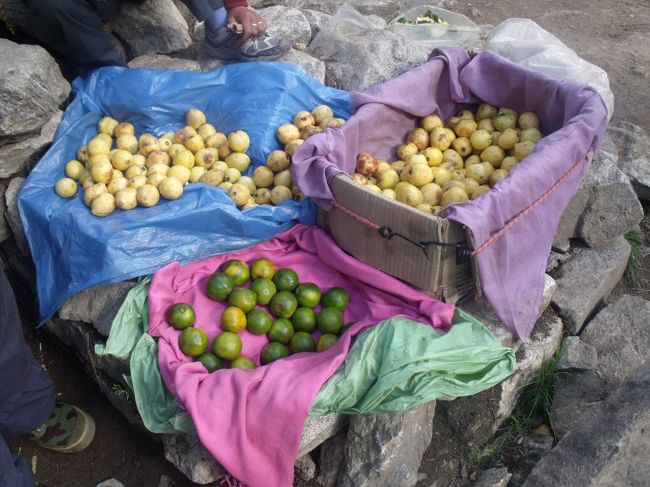 チャイ屋で休んでいると、やかんや、洗面器の雑貨を天秤棒にして、かついで売り歩いているインド人２人組が通りかかり、女将が呼び止めてフォーク６本を２１０RPで買った。この人の１日の売り上げはいくらぐらいなのだろう。インド人は手袋をしていた。<br /><br />４：５０ナムチェ着　市場が開いていた。今日は土曜日か？いや金曜日のはず市場の日だ<br />レモン４個２０RP<br />軍のお達しで、七時半以降は外出禁止。懐中電灯はテントの中だけ使用可。外では振り回さず地面を照らすだけ。<br /><br />鼻つまりをしそうなので万金油を手元に置く。呼吸の仕方が高山病防止の決め手だから。<br /><br />今日は満月<br />加賀の殿様が「○と△と□を入れて俳句を作ってみよ」と命じた。<br />千代女は、「蚊帳のつる一つ外して月を見る」と即座に作った。<br />先代男は　「エベレストにキャラメル供えて月見する」<br /><br />加賀のお殿様が　千代女を城に招いてがっかりし<br />「加賀の千代なににたよえよ鬼瓦」と仰せられたとか。 <br />ところが、すかさず千代女は「鬼瓦天主閣をも下に見る」と返したという。<br />「菜の花や月は東に日は西に」とを合体して<br />「剛毅やな　月やお日様　下に見て」とつくってみた。<br /><br />今日の一句　　それなんぼナムチェの山にこだまする<br /><br />