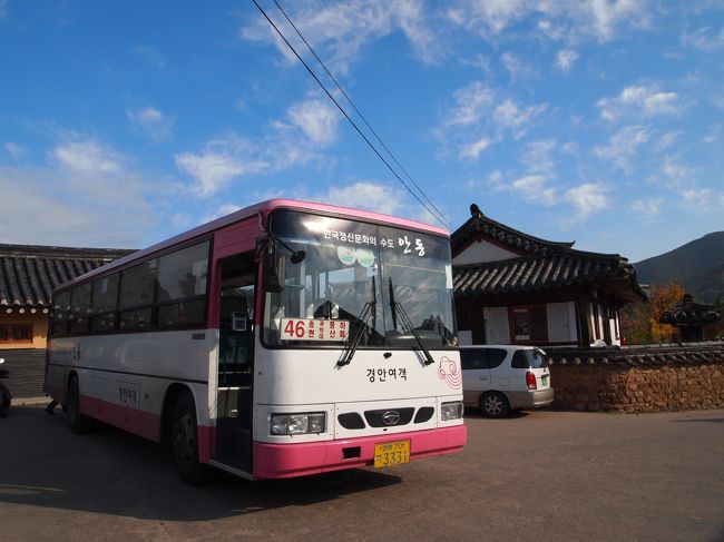 今日も快晴♪<br /><br />行きは河回村の手前の停留所でバスから降ろされましたが、<br />帰りは村の中にある停留所からバスが出ます。<br /><br />昨日の民泊で「外国人は臭いからイヤだ」と宿泊を拒否られていた<br />バックパッカーの西洋人もいました。<br />他の所に泊まれたんだ〜。良かったね。