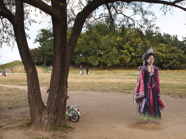 あっ！！美室（ミシル）だ！！<br />この木は見覚えがある！！<br /><br />ドラマの中で若かりし頃の美室が恋人のサダハムと再会を約束した場所です。<br />意外なロケ地発見に1人舞い上がっていましたが、皆さん冷静でした。