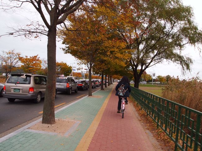 ジウンちゃんの後を追いかけて、仏国寺へ。