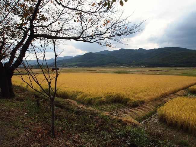 風景を楽しみつつ前進。<br />
