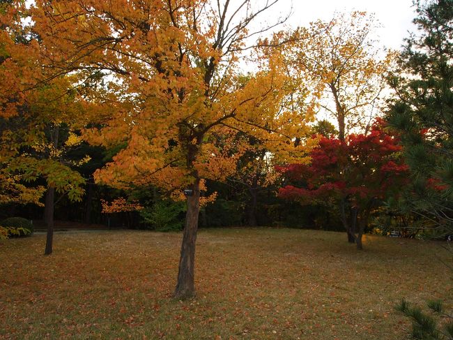 ちょうど紅葉してました。